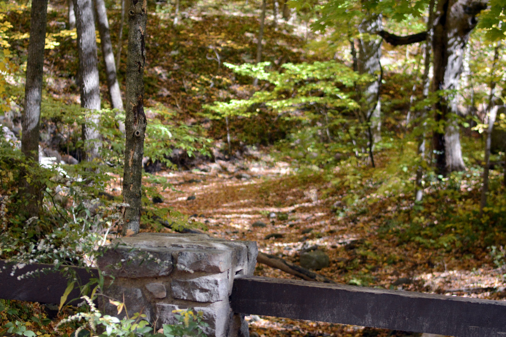 Baraboo area fall color, Oct. 8, 2020